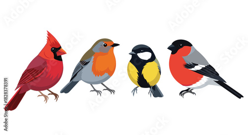 A collection of colorful wild birds including a cardinal, robin, great tit, and bullfinch on a white background.