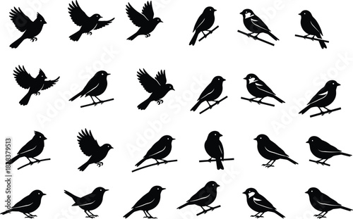 Bird silhouette collection, flying and perched poses, black vector icons, avian motion study, wildlife illustration, nature animal design set