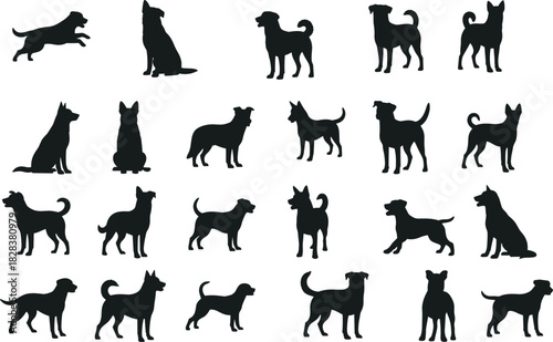 Dog silhouette collection, various breed poses, black vector icons, sitting, walking, running, jumping stance illustration, pet motion design set