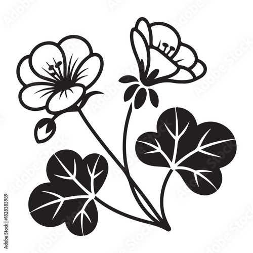 Elegant floral design with wildflowers and leaves in black and white vector
