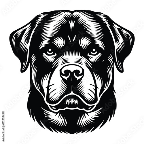 Detailed Rottweiler Dog Head Portrait Woodcut Style Vector Illustration
