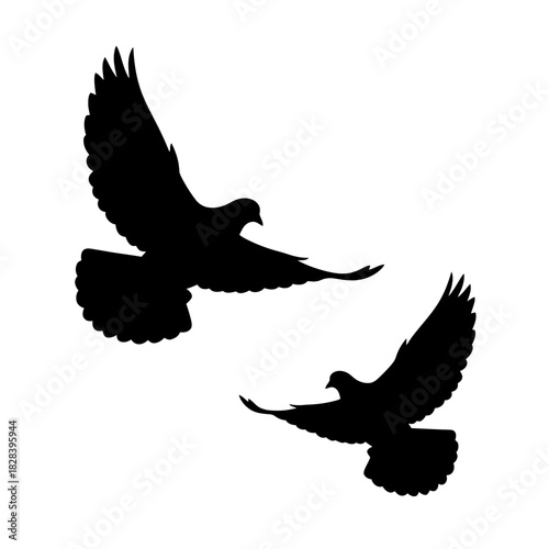 Two flying doves black silhouettes