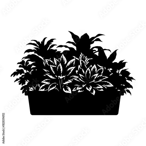 Potted plants silhouette vector illustration