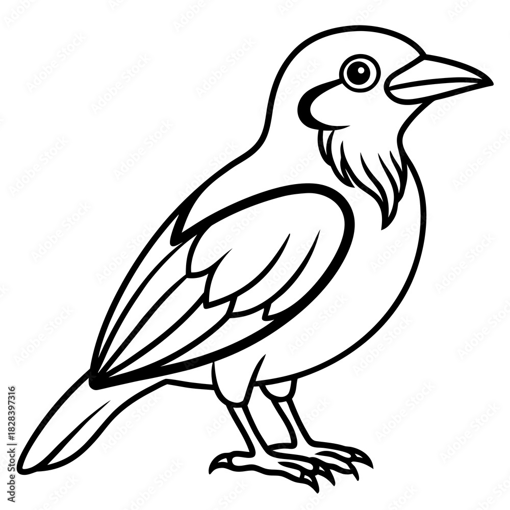 Fototapeta premium sketch of a bird