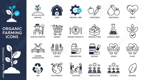 Solid vector icons collection featuring templates, layouts, flowcharts, diagrams, forms, wireframes, tables, grids, onboarding, IT support, communication, business structure, budget, and advertising.