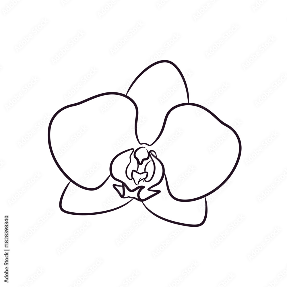 Obraz premium Elegant Orchid Flower Line Art Design Isolated on White Background Simple Botanical