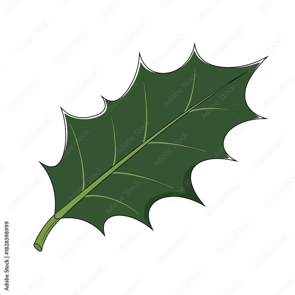 Naklejka premium Holly Leaf Illustration: A vibrant illustration of a single holly leaf, showcasing its distinctive spiky edges and lush green color, perfect for holiday-themed designs.
