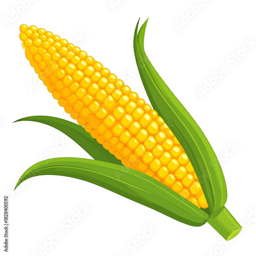 Fresh Yellow Corn with Green Leaves Against White Background