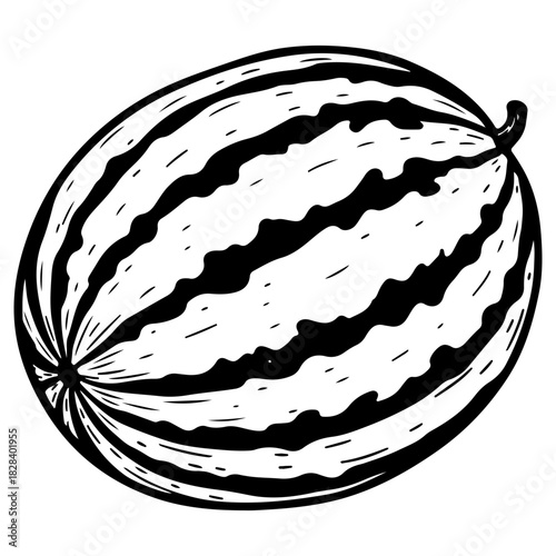 Whole fresh watermelon fruit illustration hand drawn in black and white ink sketch style isolated on white background suitable for summer food themes or grocery store design