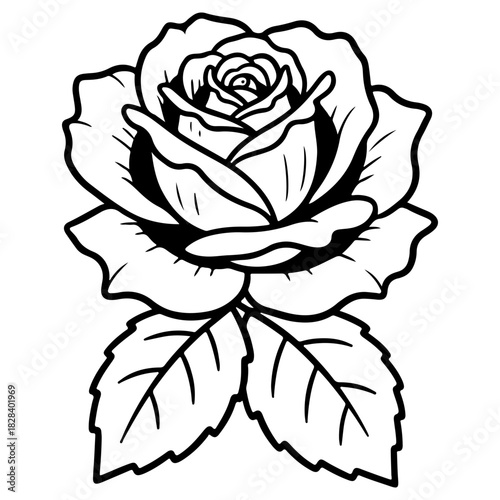 Detailed rose flower head illustration ideal for botanical prints or beauty product packaging hand drawn black and white sketch style isolated on white background high resolution
