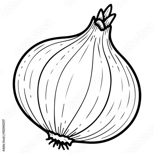 Hand drawn whole onion illustration isolated on white background. High quality black and white sketch perfect for spice packaging cooking blogs and vegetable designs.