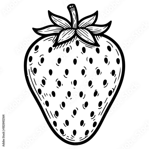 Hand drawn strawberry fruit illustration isolated on white background. High quality black and white sketch perfect for dessert menus berry packaging and summer art.