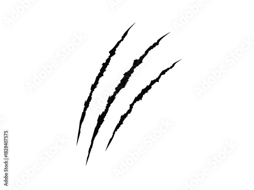 Grunge claw. mark. Grunge tiger claw made for your design.