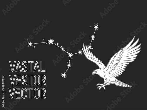 Eagle Constellation Vector Art Connected Stars Illustration Minimalist Line Design