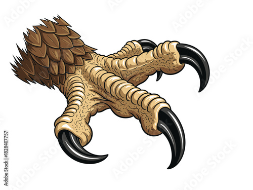 Detailed Eagle Claw Close-Up Vector Illustration Sharp Talon Vector Art