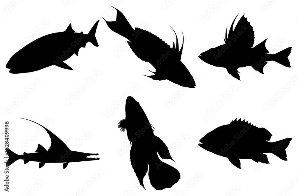Obraz premium Collection of various fish silhouettes representing marine life