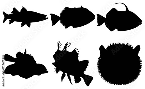 Black silhouettes of diverse fish species, isolated on