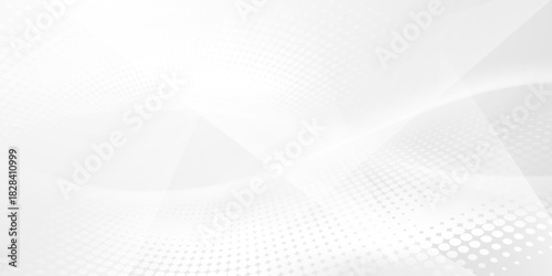 gray and white abstract background modern vector illustration