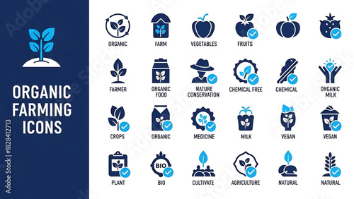 Solid vector icons collection featuring templates, layouts, flowcharts, diagrams, forms, wireframes, tables, grids, onboarding, IT support, communication, business structure, budget, and advertising.
