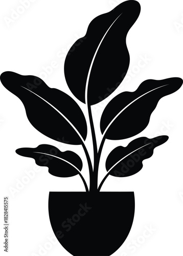 Black silhouette of a potted houseplant with large leaves on white background vector illustration