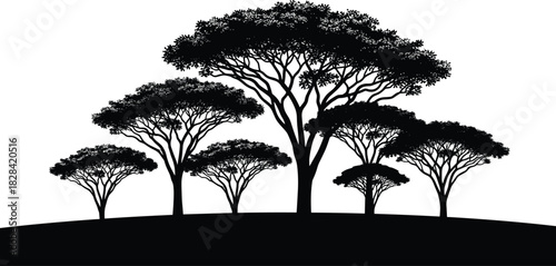 A striking black silhouette of African acacia trees on a hilltop, creating a realistic savanna landscape, ideal for nature, environment, and safari vector illustration.
