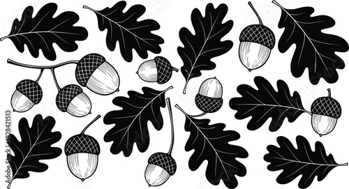 Black and white oak leaves and acorns vector set, hand drawn silhouette illustration of fall nature elements, symbolizing autumn and woodland harvest.