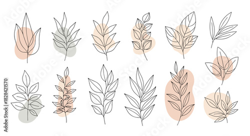 Collection of delicate line art drawings of leaves with abstract pastel color blobs.