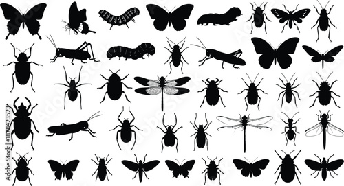 Butterflies, Beetles, Dragonflies, Caterpillars, Spiders, and Grasshoppers Icons for Nature, Science, and Wildlife Design