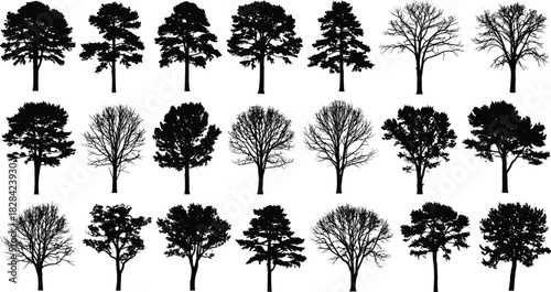 Coniferous, Deciduous, and Bare Forest Elements for Nature Graphics.