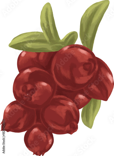 Bilberry Blue Forest Berry Botanical Painting