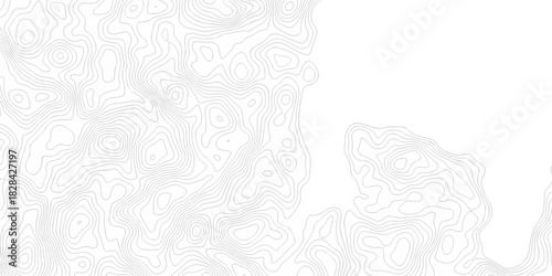 Abstract pattern with lines seamless pattern and topography map and counter map. abstract sea map area space geometric line technology topo landscape grid map texture.	