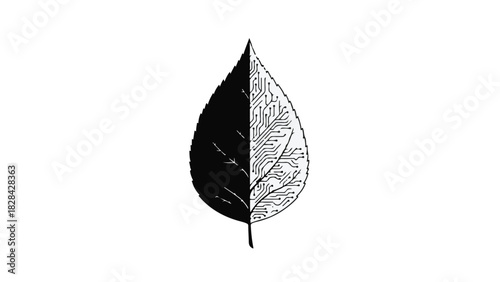 Striking contrast between a stark black half and a detailed white half of a single leaf.