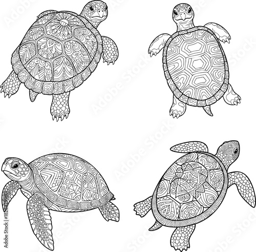 Sea Turtle Ocean Life Coloring Page Illustration
