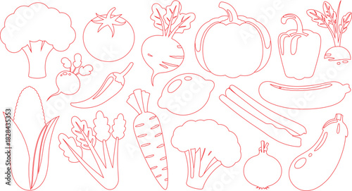 Red Outline Vegetable Set Broccoli, Tomato, Beet, Pumpkin, Radish, Corn, Carrot, Zucchini, Eggplant