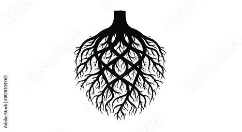 Intricate network of dark tree roots forming a symmetrical, abstract shape against a white background