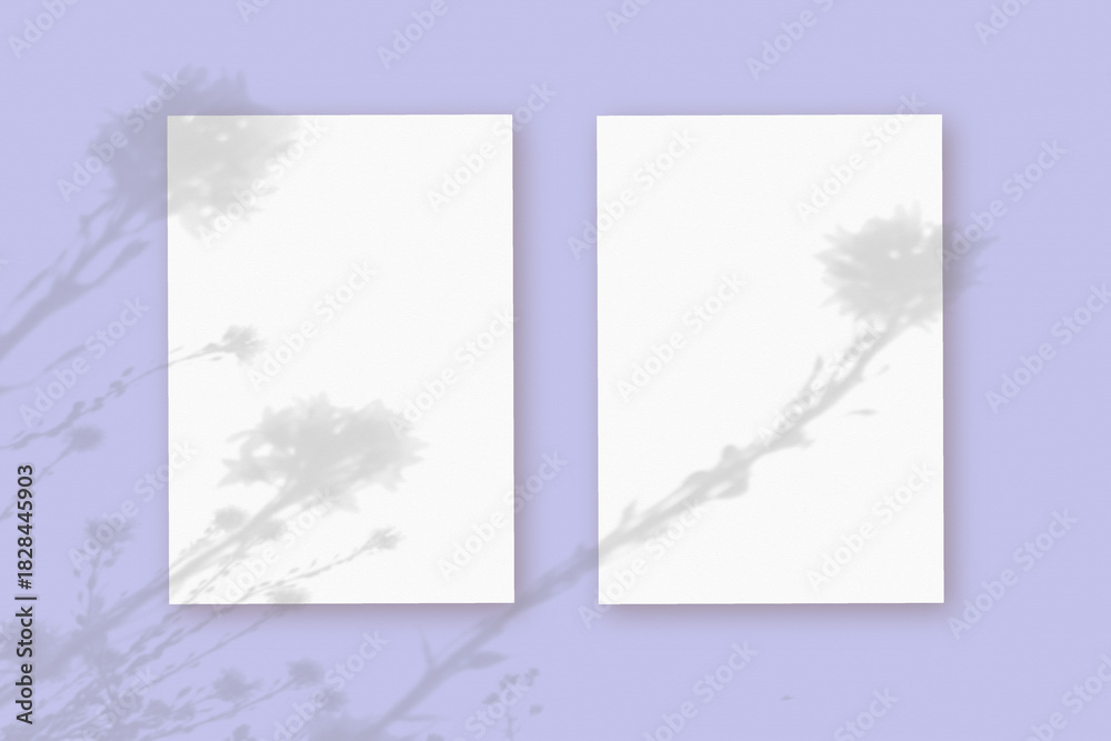 custom made wallpaper toronto digitalNatural light casts shadows from wildflowers on 2 sheets of white paper lying on an violet background. Mockup