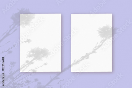 Wallpaper Mural Natural light casts shadows from wildflowers on 2 sheets of white paper lying on an violet background. Mockup Torontodigital.ca