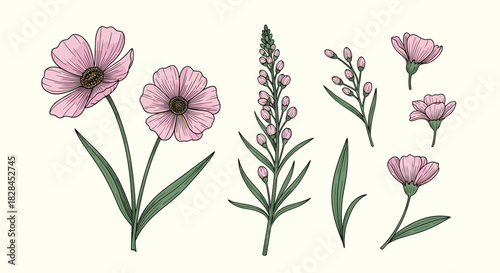 Collection of hand-drawn botanical illustrations featuring various pink flowers and buds with green leaves on a light background.