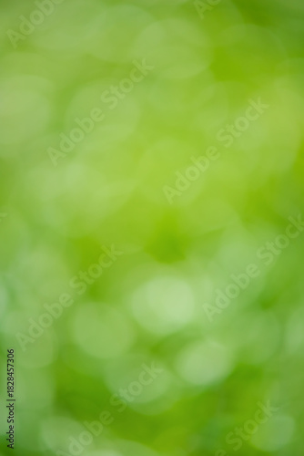 Defocus light background vertical photo blurred greenery.