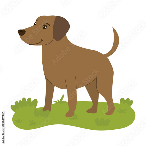 Brown dog standing joyfully on green grass in farm. This vector illustration depicts the dog s happy expression, showcasing a lovable and friendly canine character.