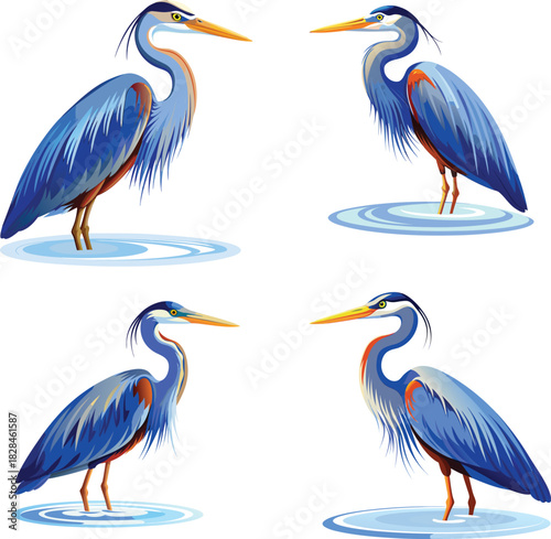 Great Blue Heron Illustration Set  Elegant Watercolor Wildlife Bird, Wading Poses, Serene Nature Art & Wetland Vector Collection