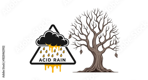 Acid rain effects on tree, conceptual illustration of environment damage and pollution