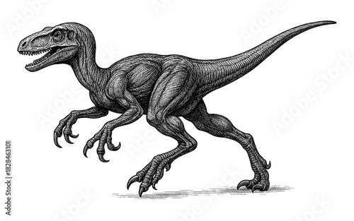 Detailed black and white velociraptor sketch in dynamic pose