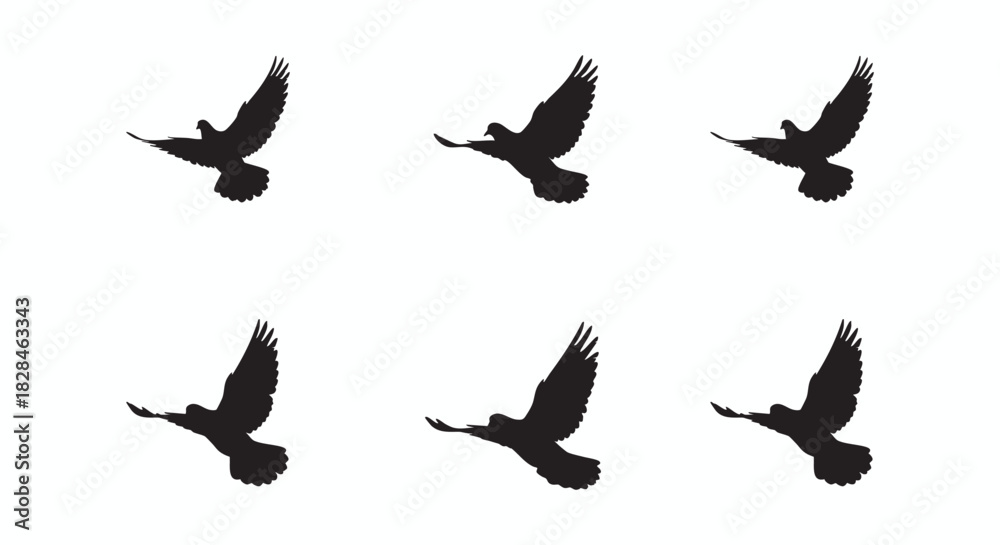 Obraz premium Silhouette of Birds in Flight A Black and White Vector Illustration for Design and Graphic Projects