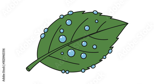 Captivating green leaf adorned with glistening dew drops, illustrating freshness and purity of