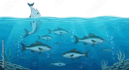 Underwater world scene displaying various types of fish in blue waters with sunlight filtering