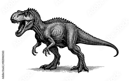 Detailed retro drawing of a tyrannosaurus rex roaring