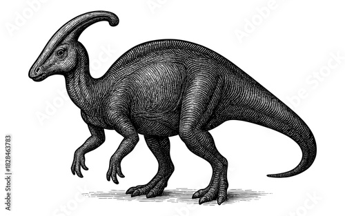Detailed black and white engraving of parasaurolophus dinosaur