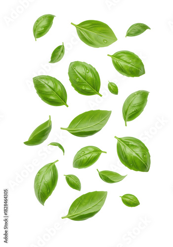 dynamic commercial studio shot of vibrant green basil leaves (ocimum basilicum) suspended mid-flight against a seamless, high-key white background with ample copy space, concept for commercial