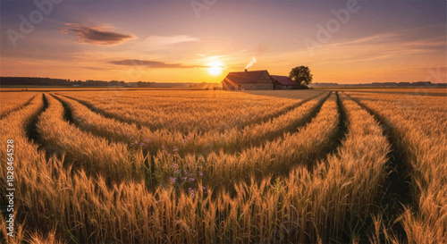 A photorealistic harvest landscape captures a classic small farm house nestled securely in the vast, golden expanse of ripening wheat fields under a clear sky, illustrating peaceful rural life.